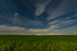 Fototapeta Mapy - Full moon illuminated rapeseed fielt with old watchtower in the background. taken around midnight