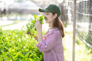 Wall Mural - Beautiful female holds fresh vegetables produce  from the rooftop greenhouse garden and planning  organic farm.