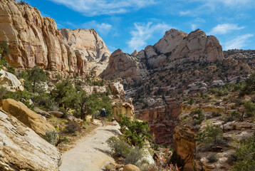 Wall Mural - Hike in Utah