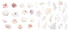 Boho Beige And Blush Trendy Vector Design Flowers. Pastel Pampas Grass, Ivory Peony, Orchid, Dahlia, Ranunculus