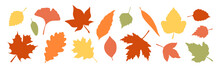 A Set Of Silhouettes Of Autumn Leaves In Warm Colors