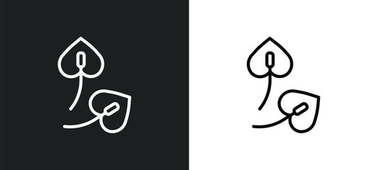 Poster - anthurium icon isolated in white and black colors. anthurium outline vector icon from nature collection for web, mobile apps and ui.