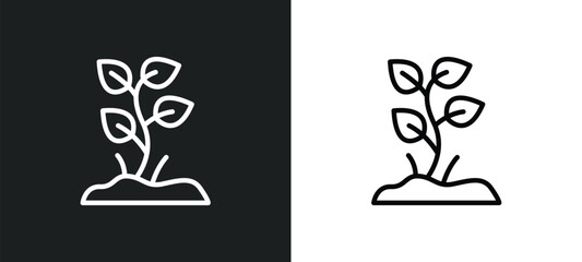 Poster - plants growing icon isolated in white and black colors. plants growing outline vector icon from natu