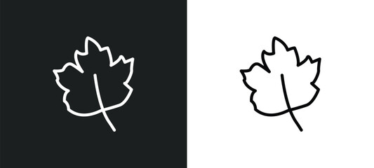 Poster - gooseberry leaf icon isolated in white and black colors. gooseberry leaf outline vector icon from nature collection for web, mobile apps and ui.