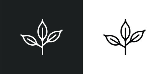 Poster - cherry leaf icon isolated in white and black colors. cherry leaf outline vector icon from nature collection for web, mobile apps and ui.