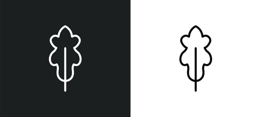 Wall Mural - oak leaf icon isolated in white and black colors. oak leaf outline vector icon from nature collection for web, mobile apps and ui.