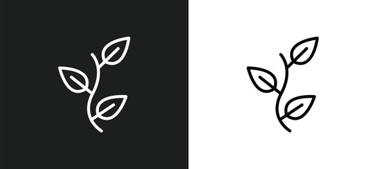 Poster - perfoliate icon isolated in white and black colors. perfoliate outline vector icon from nature colle