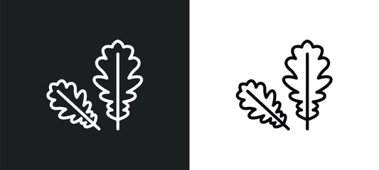 Poster - pedunculate icon isolated in white and black colors. pedunculate outline vector icon from nature collection for web, mobile apps and ui.