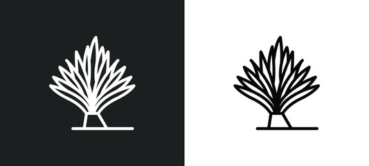 yucca icon isolated in white and black colors. yucca outline vector icon from nature collection for web, mobile apps and ui.