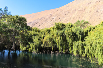 Wall Mural - Water reservoir used for agriculture in the north of Chile (Elqui valley)