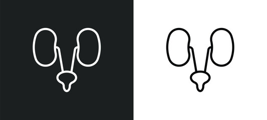 Poster - urology icon isolated in white and black colors. urology outline vector icon from health and medical