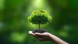 Fototapeta  - green tree on hand green business ideas Finance and Investment for Sustainability and Carbon Credit