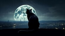 A Black Cat With Arched Back Sitting On The Moon