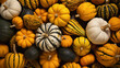 Illustration of a Group of Gourds and Pumpkins