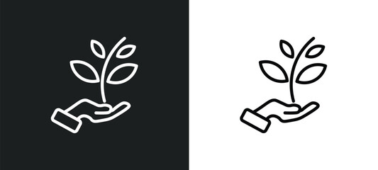 Wall Mural - plant a tree icon isolated in white and black colors. plant a tree outline vector icon from ecology collection for web, mobile apps and ui.