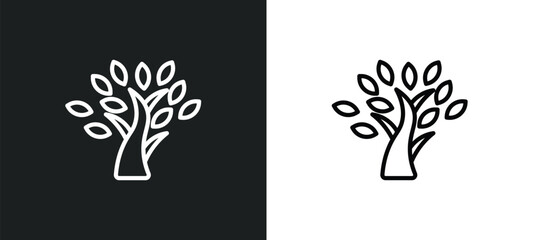 Poster - tree with many leaves icon isolated in white and black colors. tree with many leaves outline vector icon from ecology collection for web, mobile apps and ui.