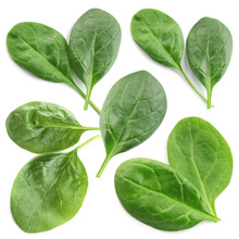 Collage With Fresh Baby Spinach Leaves On White Background, Top View