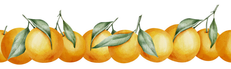 Orange seamless Border. Hand drawn watercolor illustration of citrus tangerine pattern on white isolated background for frame or banner. Tropical mandarin Fruit with green leaves for product label.