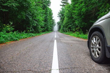 Wall Mural - car travel on the road in a forest in misty foggy morning in the mountain range
