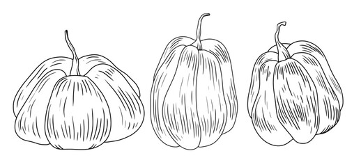 Wall Mural - Black and white linear pumpkins isolated on white background. Design elements for Halloween. Line art. Engraving style illustration with gourds.