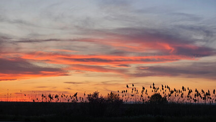 Canvas Print - landscape with beautiful sunset sky