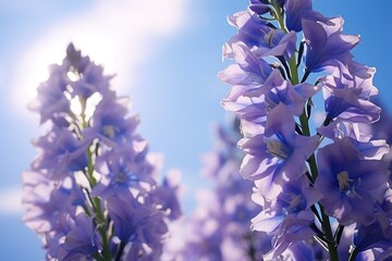 Wall Mural - larkspur closeup.