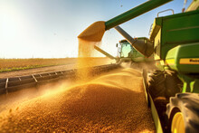 Harvester Pouring Freshly Harvested Corn Maize Seeds Or Soybeans Into Container Trailer Near, Closeup Detail, Afternoon Sunshine. Agriculture Concept. Generative AI
