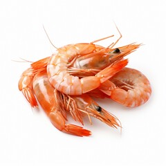 fresh shrimps isolated on a white background