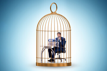 Wall Mural - Businessman caught in the cage