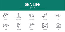 Set Of 10 Outline Web Sea Life Icons Such As Shark, Lighthouse, Hermit Crab, Swordfish, Cod, Tuna, Seahorse Vector Icons For Report, Presentation, Diagram, Web Design, Mobile App
