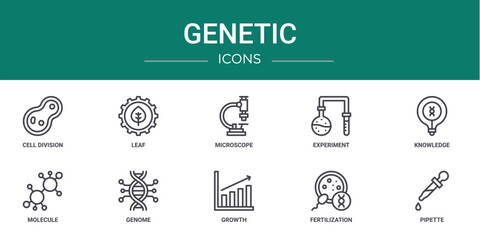 set of 10 outline web genetic icons such as cell division, leaf, microscope, experiment, knowledge, molecule, genome vector icons for report, presentation, diagram, web design, mobile app