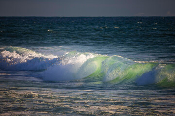 Fototapete - Olas