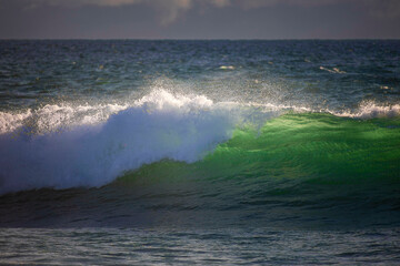 Fototapete - Olas