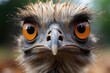 Funny ostrich face closeup and portrait. Generative AI