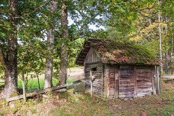 Sticker - Old wooden shed in pasture