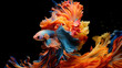 Capture the moving moment of red-blue siamese fighting fish isolated on black background. Betta fish. Generative AI.