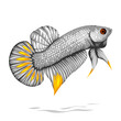 Detailed betta fish vector with white scales and half gold fin isolated on white background, suitable for your icon, logo, or poster design