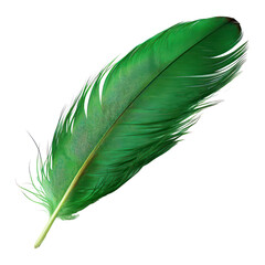 Wall Mural - green feather isolated on transparent background cutout