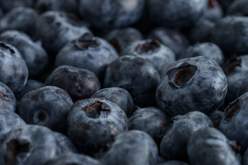 Wall Mural - Fresh ripe washed blackberries background