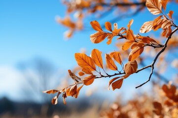 Wall Mural - autumn leaves on a branch. generative ai