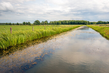Wall Mural - Wide ditch in a Dutch polder landscape. The clouds are reflected in the smooth water surface. Along the bank grows and behind the fence of wooden posts with wires is a meadow.