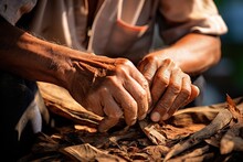 Hands Of An Artisan Rolling A Traditional Cuban Cigar