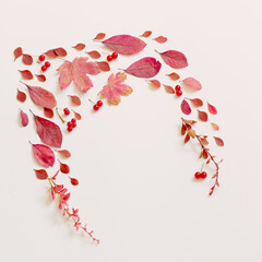 Wall Mural - autumn red leaves on white background