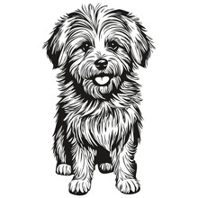 Coton De Tulear Dog Realistic Pet Illustration, Hand Drawing Face Black And White Vector Ready T Shirt Print