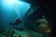 a diver explores a sunken ship on the seabed