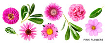 Summer Pink Flowers And Leaves Set Isolated. PNG With Transparent Background. Flat Lay. Without Shadow.