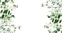 Watercolor Painted Greenery Seamless Frame. Green Wild Plants, Branches, Leaves And Twigs. Isolated Clipart.
