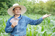 Happy Asian man farmer is at garden, wears hat, blue shirt, holds Thai banknote money, make hand gesture to present. Concept , Happy farmer to get profit, income, agriculture supporting money. 