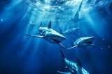 Fototapeta Zwierzęta - sharks swim in the deep sea