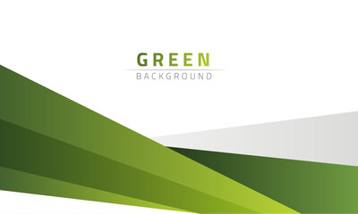 Wall Mural - abstract green curve abstract background. vector